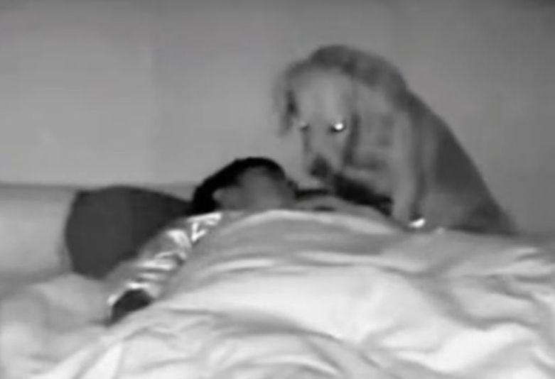 Buđenje usred noći