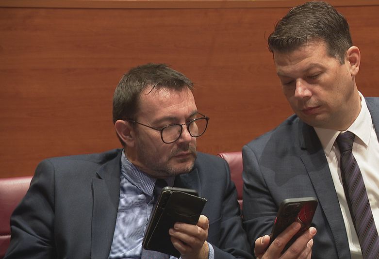 Revizija kod političkih stranaka - 2