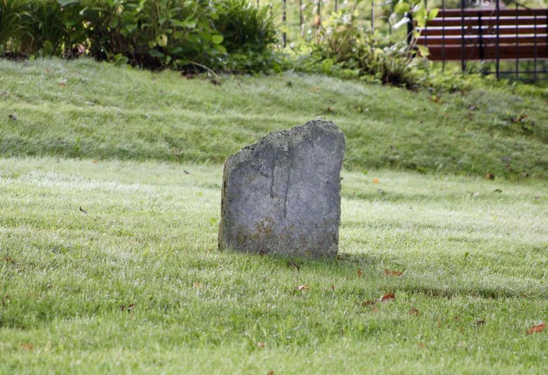 Ilustracija; Zemljište