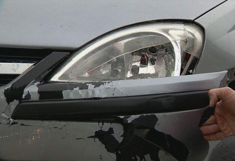 Divljač na cesti - 3