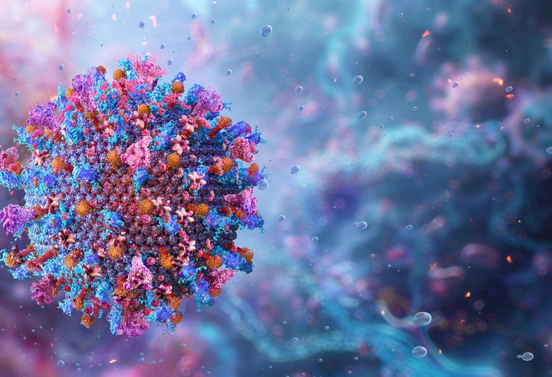 Virus afričke svinjske kuge