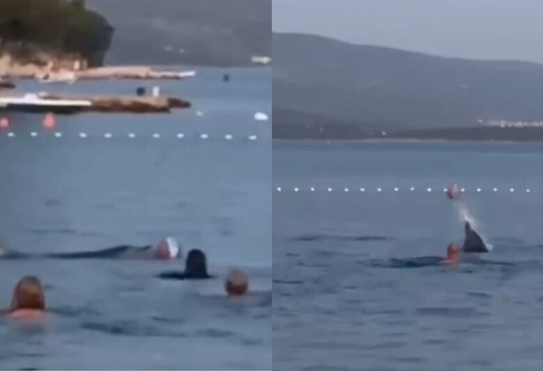 Dupin među kupaćima