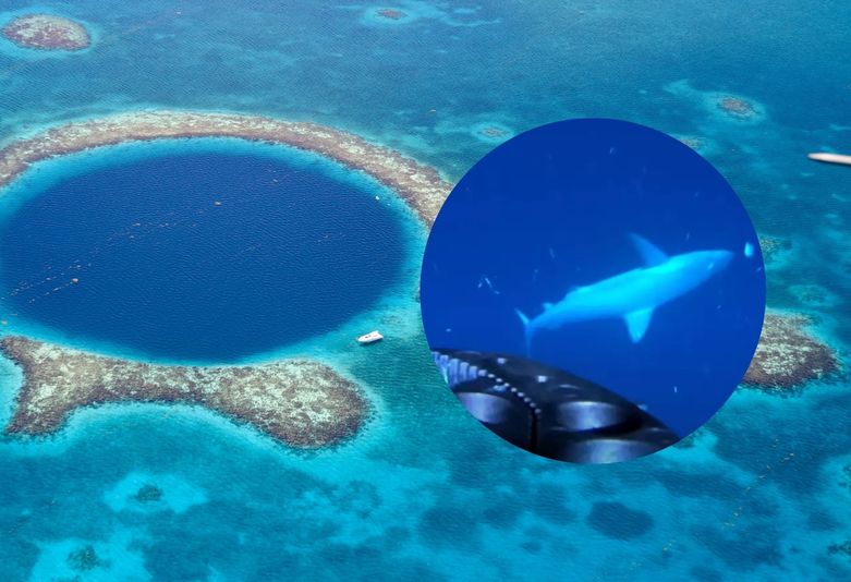 Velika plava rupa nedaleko od obale Belizea i snimka morskog psa