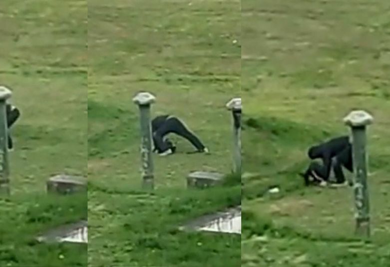 Zlostavljanje psa u Novom Zagrebu