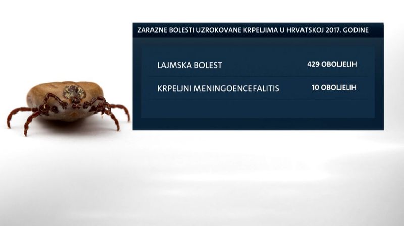 Sezona krpelja (Foto: Dnevnik.hr) - 1