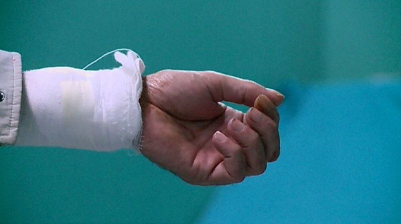 Stigao virus Zapadnog Nila (Foto: Dnevnik.hr) - 3