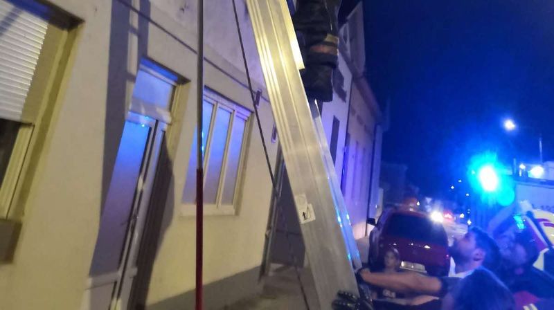 Djeca i vatrogasci spasili malu lastu - 1