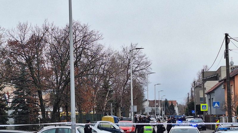 Policija i hitna pomoć ispred OŠ Prečko - 4