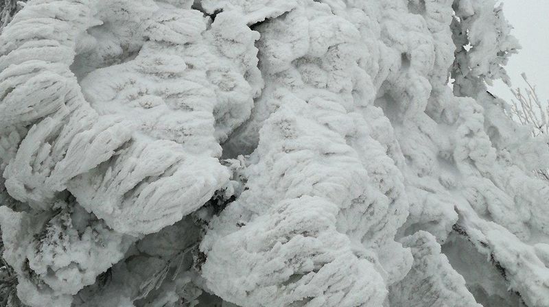 Snijeg na Ivanščici (Foto: čitatelj) - 22