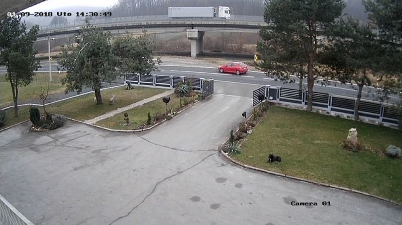 Crveni automobil unio nemir među mještane (Foto: Dnevnik.hr) - 1
