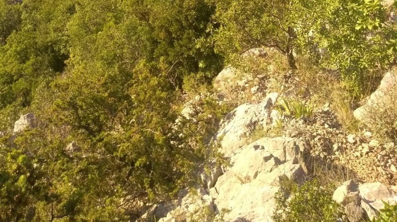 HGSS, spašavanje na Zavratnici (Foto: HGSS Gospić)