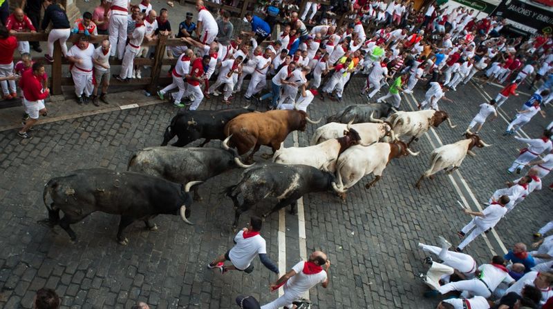 Utrke s bikovima u Pamploni (Foto: AFP)
