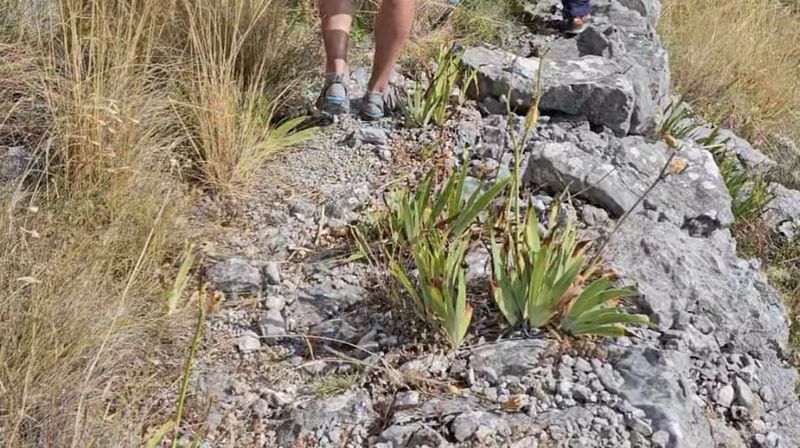 HGSS dobio dojavu o izgubljenom turistu na predjelu Biokova - 1