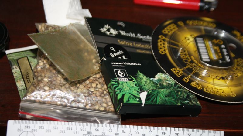 Marihuana i rizle (Foto: PU istarska)