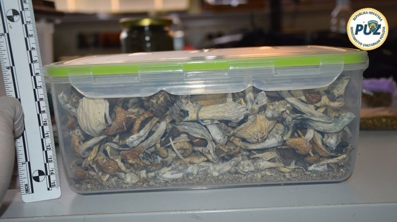 Policija u stanu pronaša drogu i zmije otrovnice (Foto: PUZ) - 3