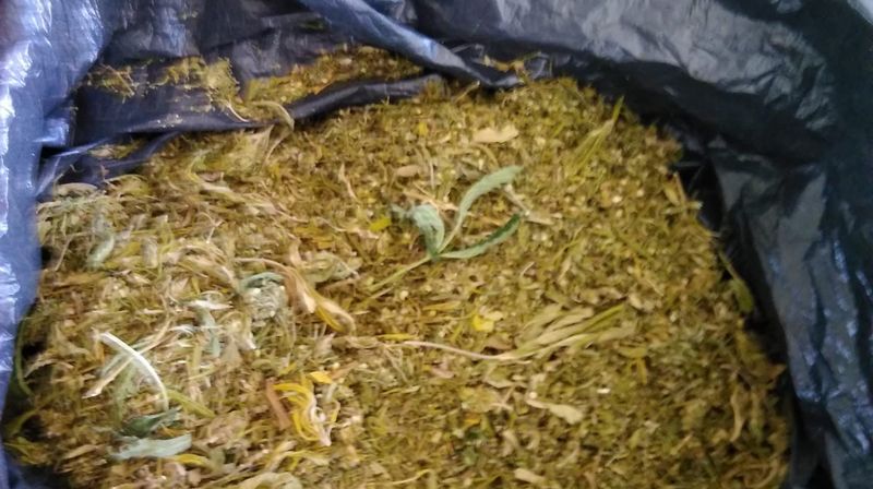 Droga na Hvaru (Foto: PU splitsko-dalmatinska)