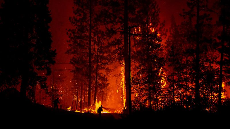 Najgori požar u povijesti Kalifornije (Foto: AFP)
