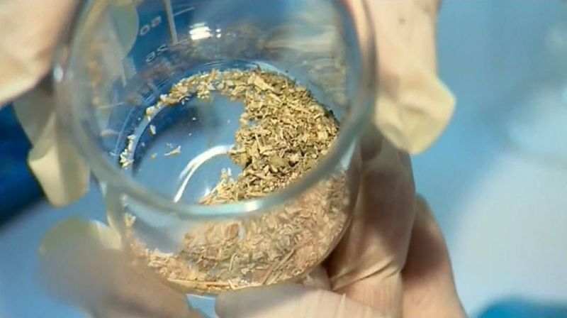 Kraj za osvježivače (Foto: Dnevnik.hr) - 1