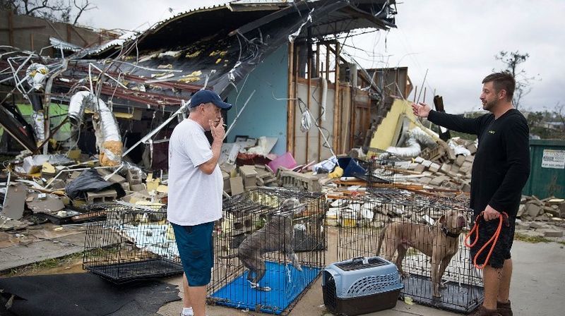 Stravični uragan Michael iza sebe ostavlja pustoš (Video: AFP) - 1