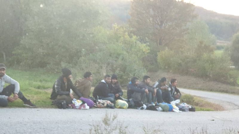 Migranti kod Pokupskog (Foto: Dnevnik.hr)