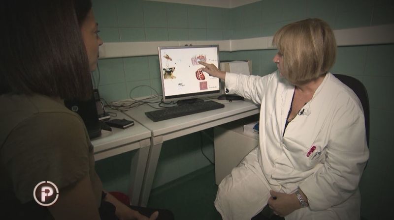 Zbog uboda komarca ispod kože joj gmižu crvi (Foto: Dnevnik.hr) - 10