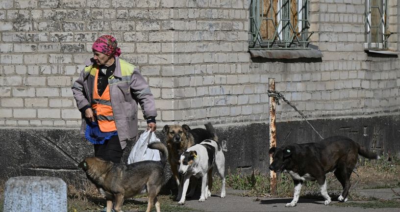 Ilustracija
