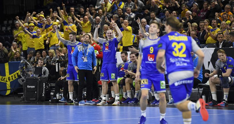 Slavlje švedskih igrača i navijača (Foto: AFP)