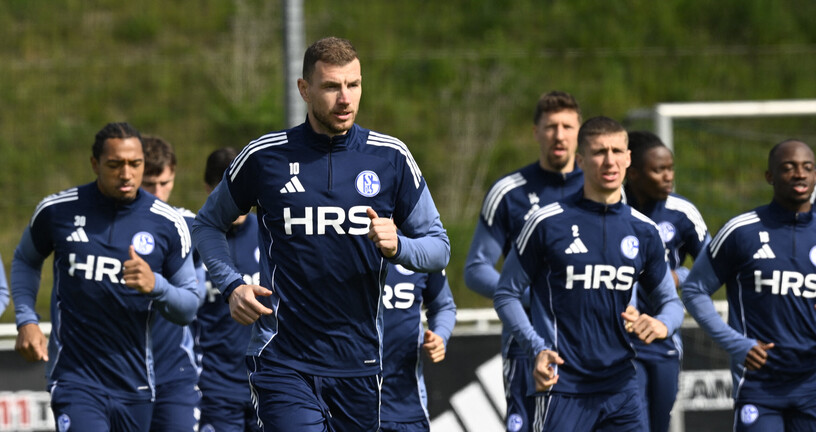 Edin Džeko u Schalkeu