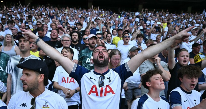 Navijač Tottenhama