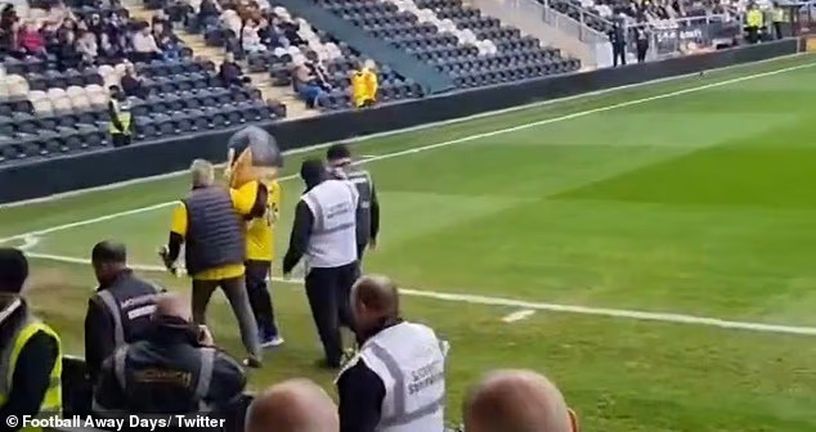 Maskota St Albans Cityja