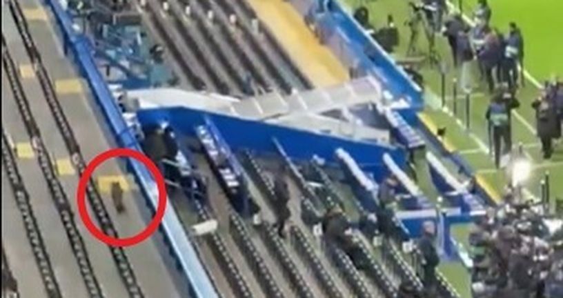 Lisica na Stamford Bridgeu