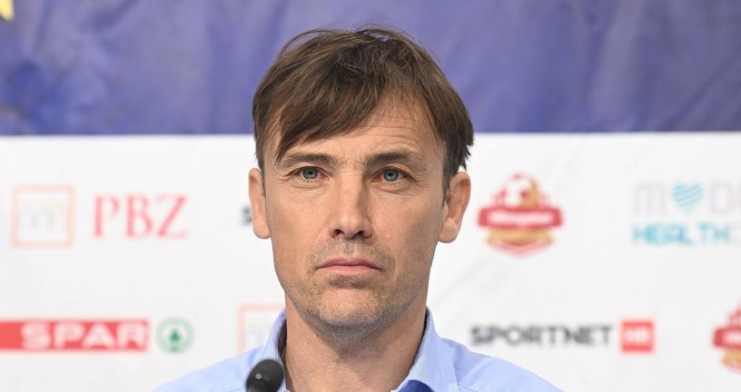Dario Šimić