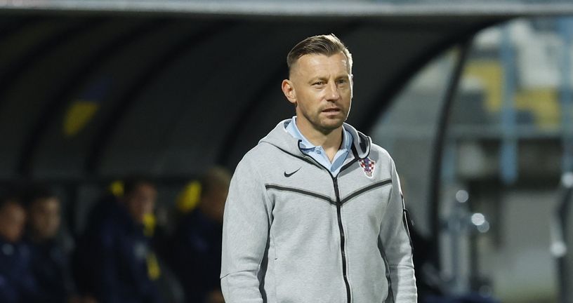 Ivica Olić