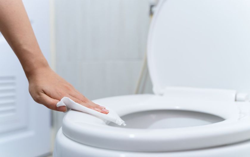Čišćenje WC školjke