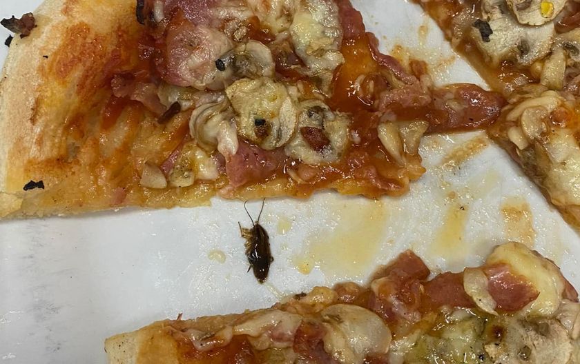 Studenti su u pizzi iz menze pronašli žohare