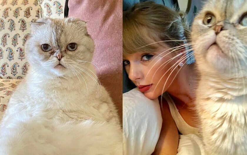 Olivia i Taylor