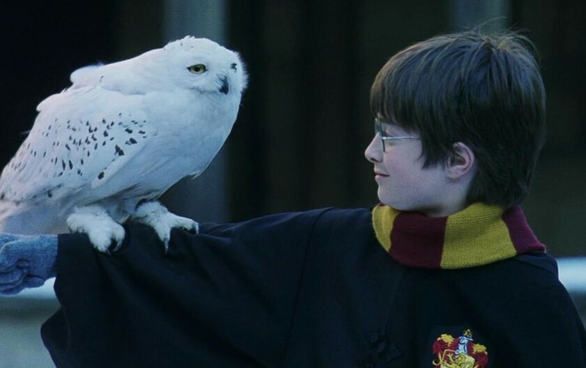 Harry Potter i Kamen mudraca