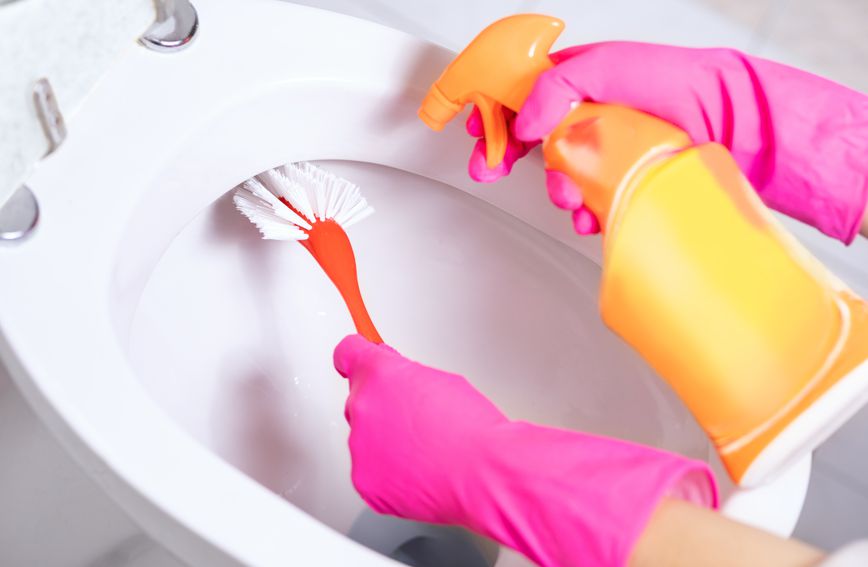 WC školjka je prioritet u svakom domu kada je riječ o čišćenju