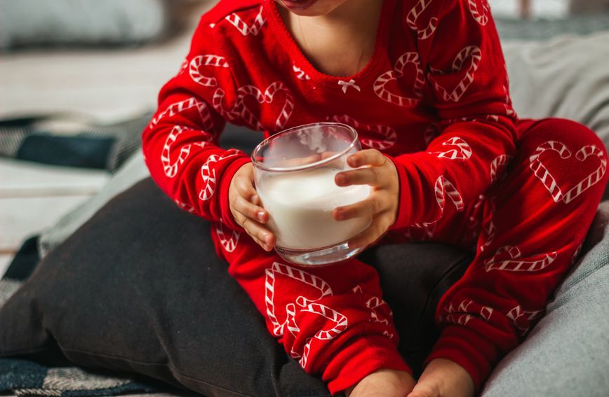 Od malena nas uče kako je mlijeko zdravo, ali ono ipak nije jedini izvor vitamina