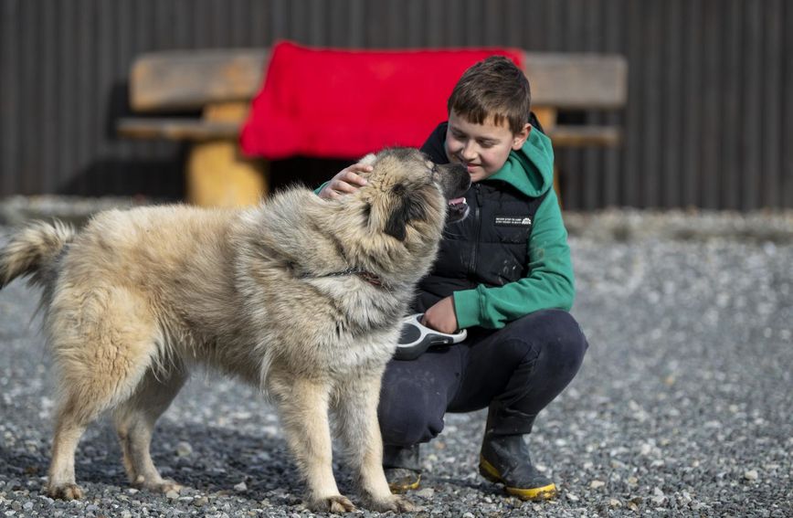 Simon Ozimec ima samo 10 godina i svake subote volontira u Skloništu za nezbrinute životinje Luč Zagorja