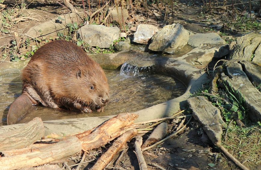 Do kraja veljače u zagrebačkom zoo vrtu održavat će se Egzotične subote