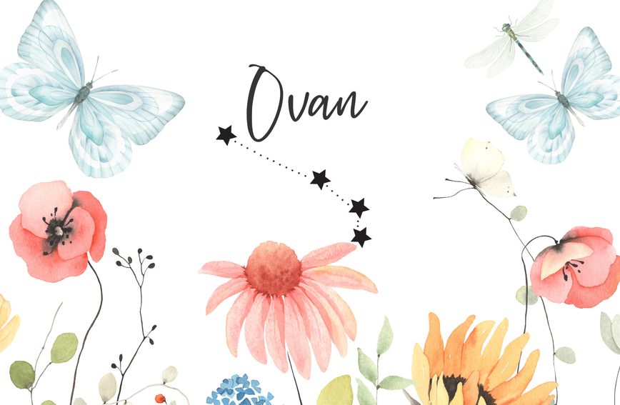 Ovan