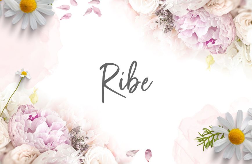 Riba