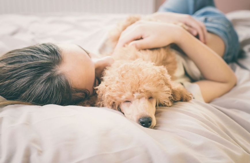 Psi imaju pozitivan učinak na kvalitetu sna