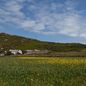 Otok Bardsey, Wales - 2
