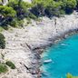 Mala Travna, Vis