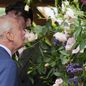 David Beckham i kralj Charles - 1