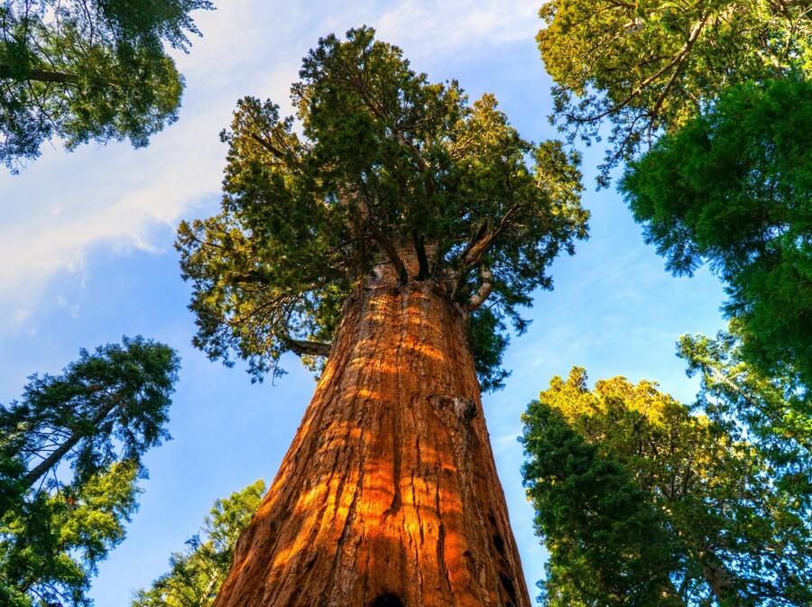 Kviz općeg znanja - 2