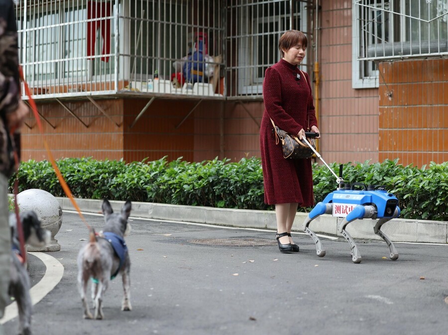 Robopsi za pomoć slabovidnim osobama u Chengduu u Kini - 3