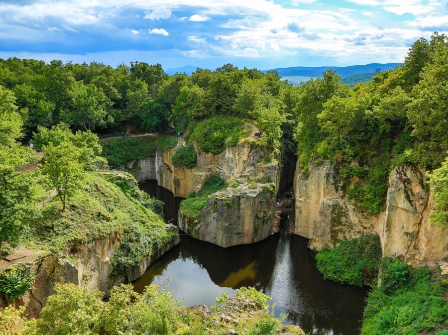 Megyer-hegyi tengerszem - 2